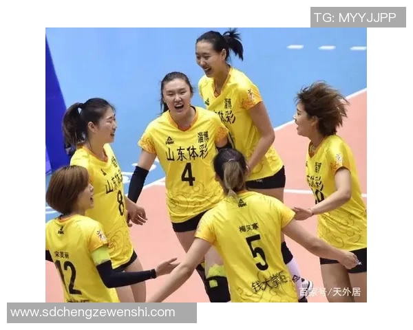 北京排球队进攻策略分析及其在比赛中的得失表现探讨