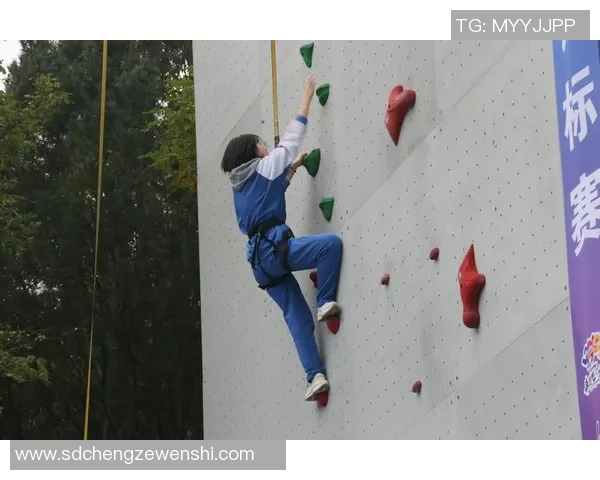 北京攀岩队快攻打法深度解析与战术应用探讨