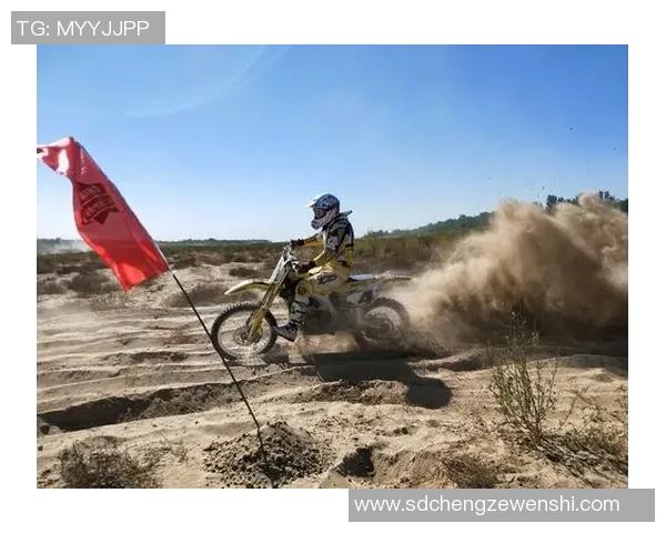 北京排球队的耐力之道：揭秘排球巨献背后的训练与坚持